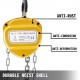 Buy 3ton Manual Chain Hoist, 3m Yellow Manual Chain Block, Lever Chain Hoist, Manual Lever Chain Hoist, Manual Winch Lifting Pulley