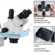 Buy Trilocular Microscope, 3.5X-90X Stereo Microscope 55-75mm Professional Stereo Microscope Adjustable Arm Microscope with 26:1 Focusing Range for Insect Observation, etc.