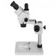 Buy Trilocular Stereo Microscope, 3.5X-90X Stereo Microscope, 55-75mm Professional Stereo Microscope, Trilocular Microscope with Adjustable Pillar Stand for Insect Observation, etc.