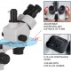 Buy Trilocular Stereo Microscope, 3.5X-90X Stereo Microscope, 55-75mm Professional Stereo Microscope, Trilocular Microscope with Adjustable Pillar Stand for Insect Observation, etc.