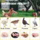 Comprar Desplumadora de pollo de acero inoxidable desplumadora de pollo de 18 dedos máquina desplumadora de plumas de pollo varilla de 0,4" máquina desplumadora de aves para pollos, codornices, palomas