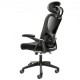 Buy Ergonomic reclining office chair with lumbar and head support