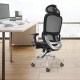 Buy Ergonomic Office Chair with Mesh Reclining Lumbar Support