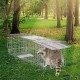 Buy Animal Trap Cage 610x203x203 mm Cruelty Free for Cats Squirrels