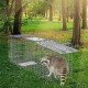 Buy Animal Trap 785x254x305mm Collapsible Cat Trap Cage Cruelty-Free Galvanized Wire with Handle Trap for Rabbits, Stray Cats, Squirrels, Raccoons, Groundhogs, Opossums