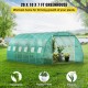 Buy Tunnel Greenhouse 6.1 x 3 x 2.1 m Tunnel Garden Greenhouse with 12 Windows and 2 Doors Steel Frame Greenhouse Garden Shed Green Orchard for Growing Plants Flowers Vegetables