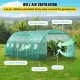 Buy Tunnel Greenhouse 6.1 x 3 x 2.1 m Tunnel Garden Greenhouse with 12 Windows and 2 Doors Steel Frame Greenhouse Garden Shed Green Orchard for Growing Plants Flowers Vegetables