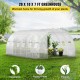 Buy Tunnel Greenhouse 6.1 x 3 x 2.1 m Tunnel Garden Greenhouse with 12 Windows and 2 Doors Steel Frame Greenhouse Garden Shed White Orchard for Growing Plants Flowers Vegetables