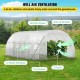 Buy Tunnel Greenhouse 6.1 x 3 x 2.1 m Tunnel Garden Greenhouse with 12 Windows and 2 Doors Steel Frame Greenhouse Garden Shed White Orchard for Growing Plants Flowers Vegetables