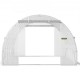 Buy Tunnel Greenhouse 6.1 x 3 x 2.1 m Tunnel Garden Greenhouse with 12 Windows and 2 Doors Steel Frame Greenhouse Garden Shed White Orchard for Growing Plants Flowers Vegetables