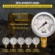 Buy Hydraulic Pressure Test Kit 5 Gauge Machinery Coupling Kit 600 bar Hydraulic Pressure Gauge Kit Couplings and Tee Connectors, Long Test Hose for Construction