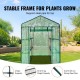 Buy Garden Greenhouse 141x141x200 cm PE Tarpaulin Plant Tent with 4 Shelves 15kg Load with Door and Windows Steel Frame Easy Assembly Ideal for Planting Flowers Storage, Green