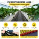 Buy Weed Block Barrier 91.4 x 1.83 M PP Woven Weed Barrier 70g/m³ Weed Barrier Fabric Plastic Weed Block Ground Cover Weed Control Fabric