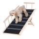 Koop Hondenramp 1200 mm lengte antislip opvouwbare oprit voor kleine/grote honden Verstelbare hoogte 6 niveaus 35-70 cm Geschikt voor bed, bank, autotoegang, binnen, buiten