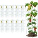 Comprar Jaulas para tomates Jaula de soporte para plantas Paquete de 10 Jaulas cuadradas de acero 3.8 pies Verde para jardín