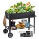 Buy Raised Garden Bed 108 x 49.5 x 80 cm Galvanized Metal Elevated Garden Bed for Growing Flowers Plants Herbs Urban Vegetable Garden for Garden Terrace Patio Balcony Black with Accessories