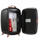 Buy Mini Fridge Small Cosmetic Refrigerator 6L 8 Cans 330ml Mini Portable Refrigerator with HD Mirror and LED Light Temperature of 15 °C