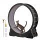 Comprar Roda de exercício para gatos Roda de corrida interna de 1100 mm Tapete removível e quebra-cabeça para corrida, caminhada e treinamento adequado para a maioria dos gatos