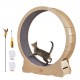 Buy Cat Exercise Wheel Indoor Running Wheel 1320mm Running Wheel Detachable Mat and Puzzle for Running, Walking and Training Suitable for Most Cats