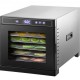 Comprar Máquina deshidratadora de alimentos eléctrica 6 bandejas 600 W Secador de frutas y verduras 35-75 ° C Temporizador 48 H Deshidratadora de frutas